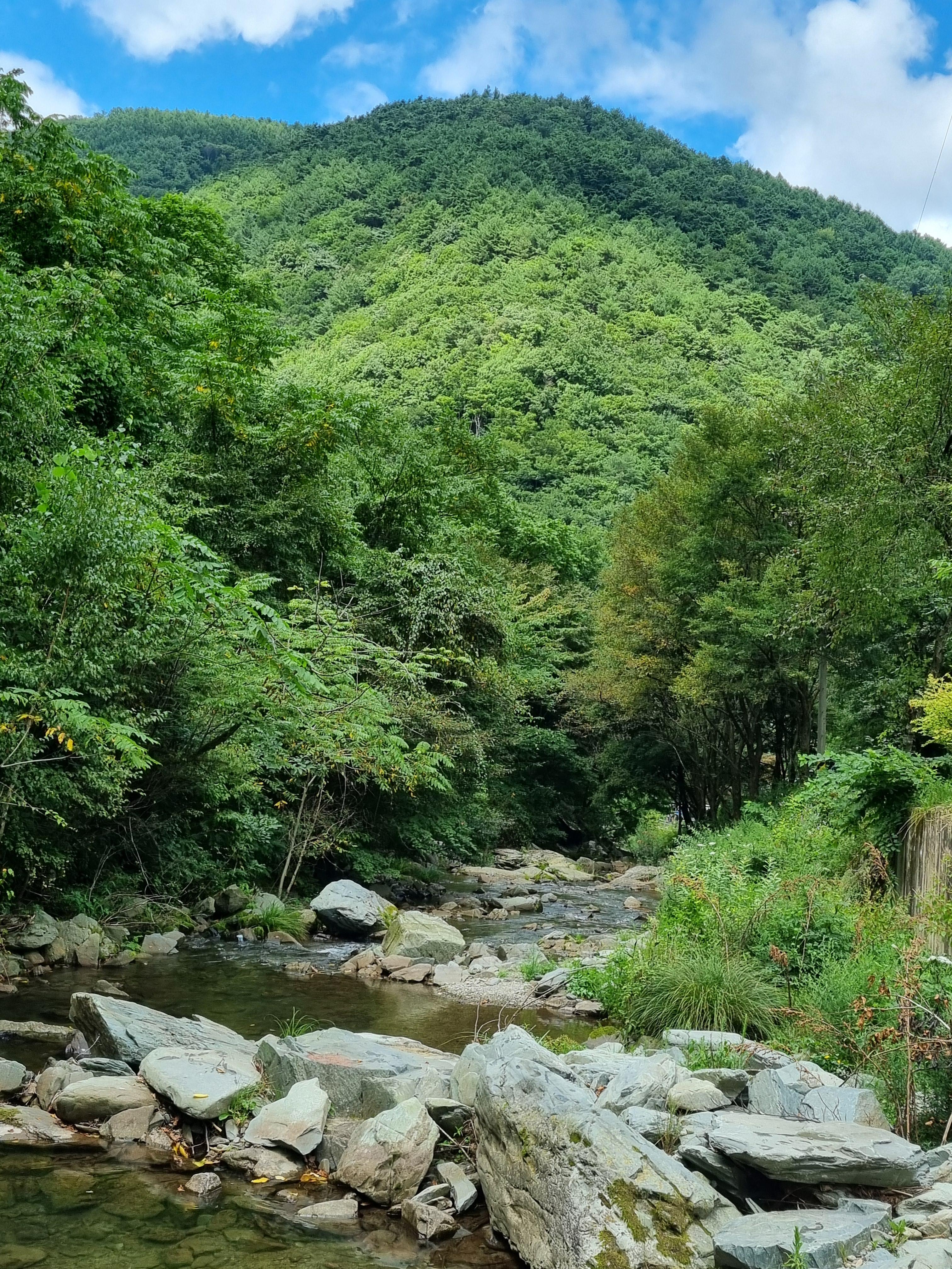 장전계곡 경치