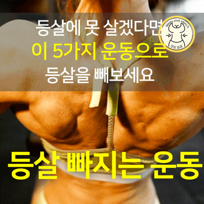 아름다운 뒷 모습를 위한 등살 빼는 운동 5가지