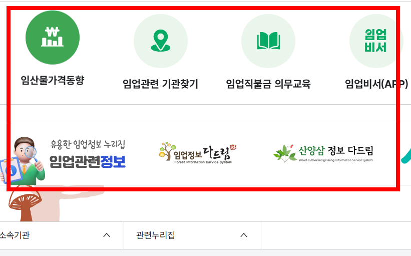 임업경영체 등록 조건 알아보기