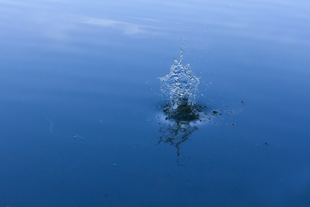 Waterbomb