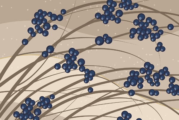 프레벨 놀이이론 총정리 - 몬테소리와의 차이까지 쉽게 이해하기