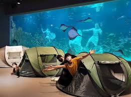 대전아쿠아리움