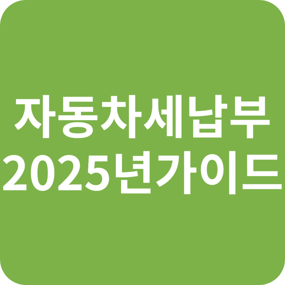 자동차세 납부 2025년 가이드