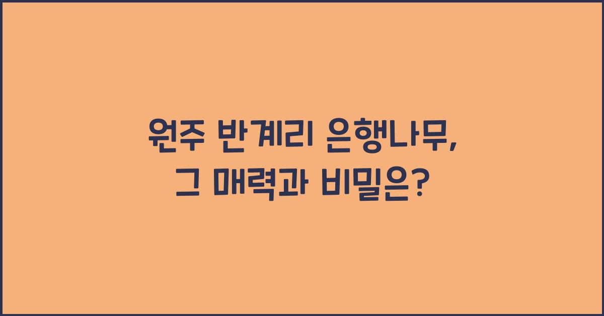 원주 반계리 은행나무