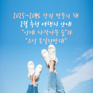 2025-2026 강원 방문의 해