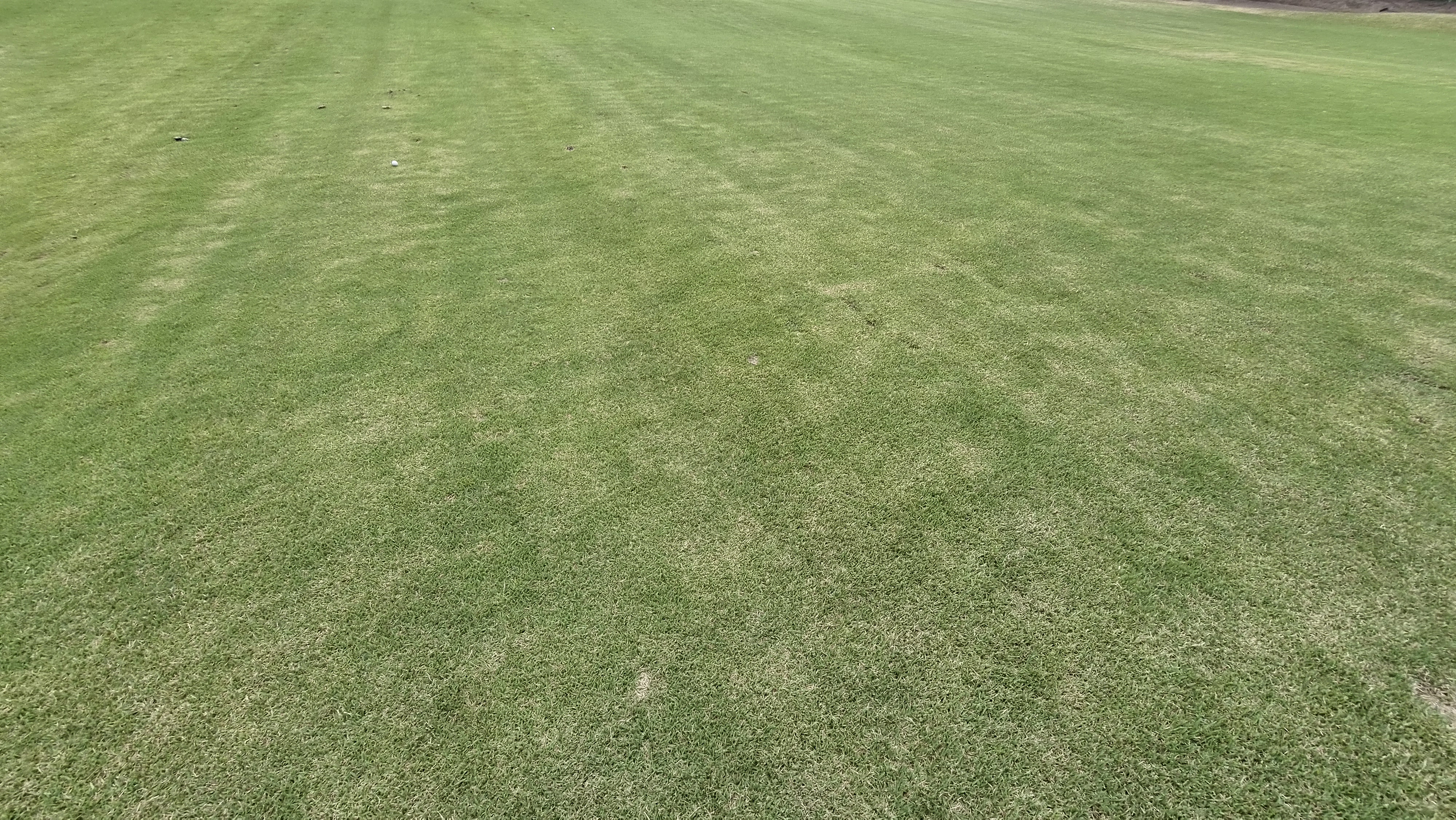 포웰cc 프린세스 라운드 후기