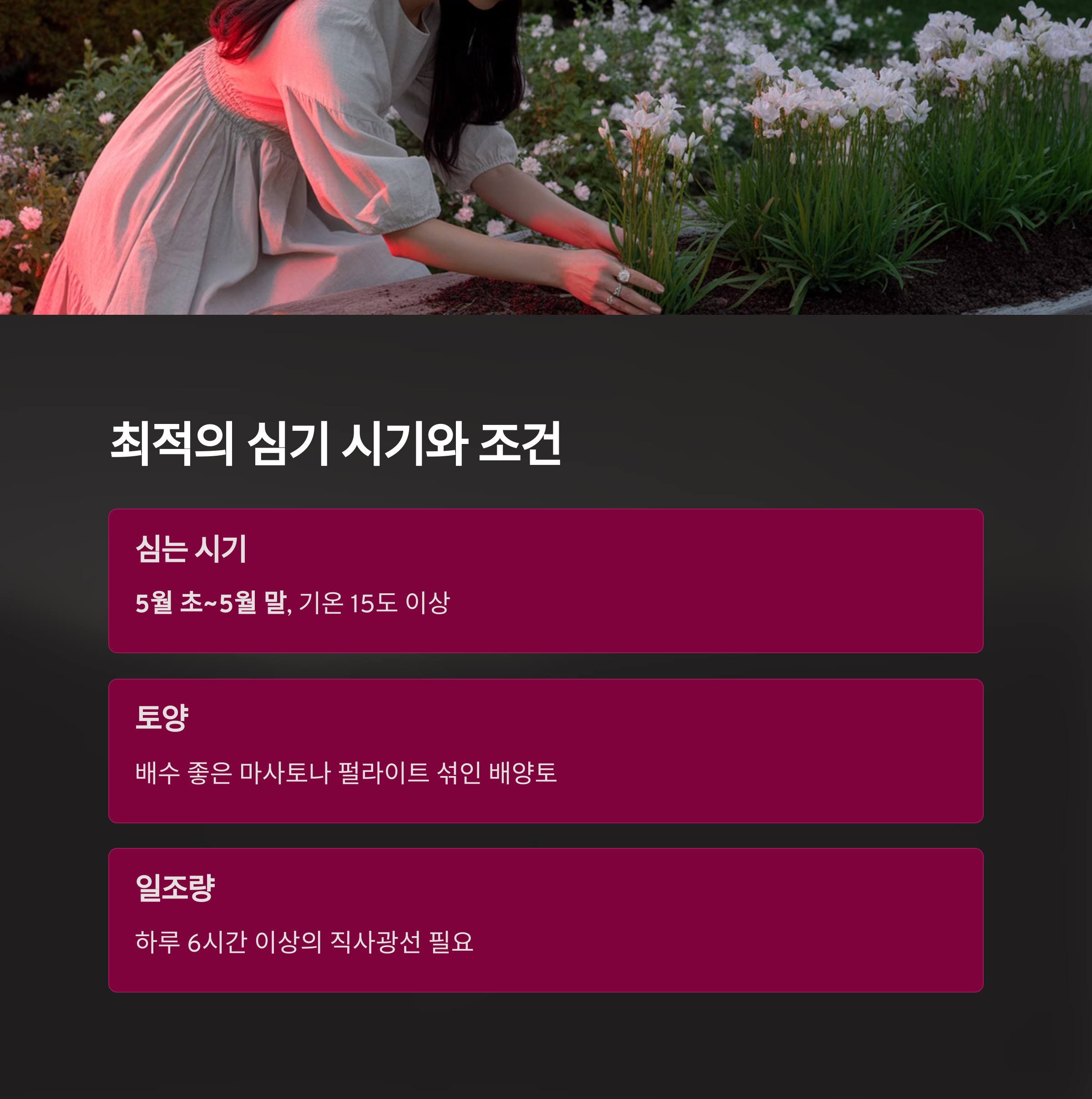 튜베로즈 심는 시기와 적정 조건은?