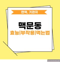 맥문동 효능