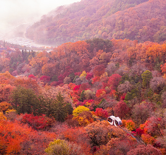 화담숲 사진입니다.