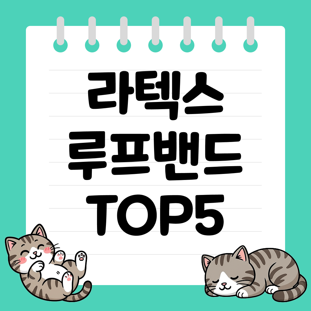 홈트 전신 운동에 특화된 라텍스 루프밴드 추천 순위 TOP5