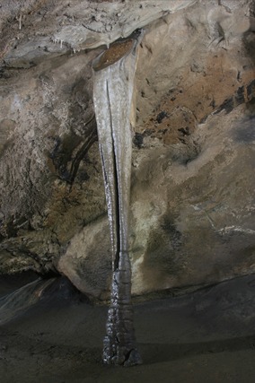 평창 백룡동굴 예약 방법