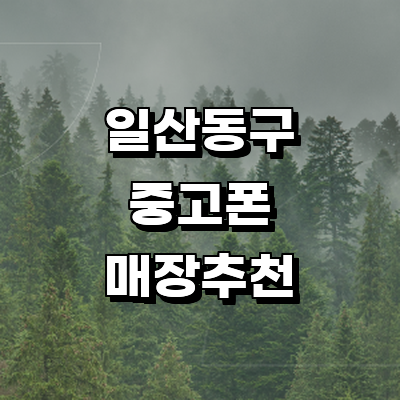 고양 일산동구 중고폰