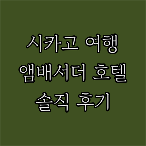 시카고 여행객 추천 호텔 앰배서더 시..