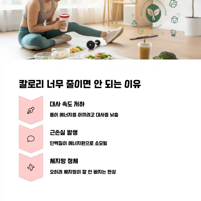 🔥 하루 1,600칼로리 다이어트 식단, 제대로 계산하고 계신가요? - ⚠️ 5. 칼로리 너무 줄이면 안 되는 이유 칼로리 너무 줄이면 안 되는 이유