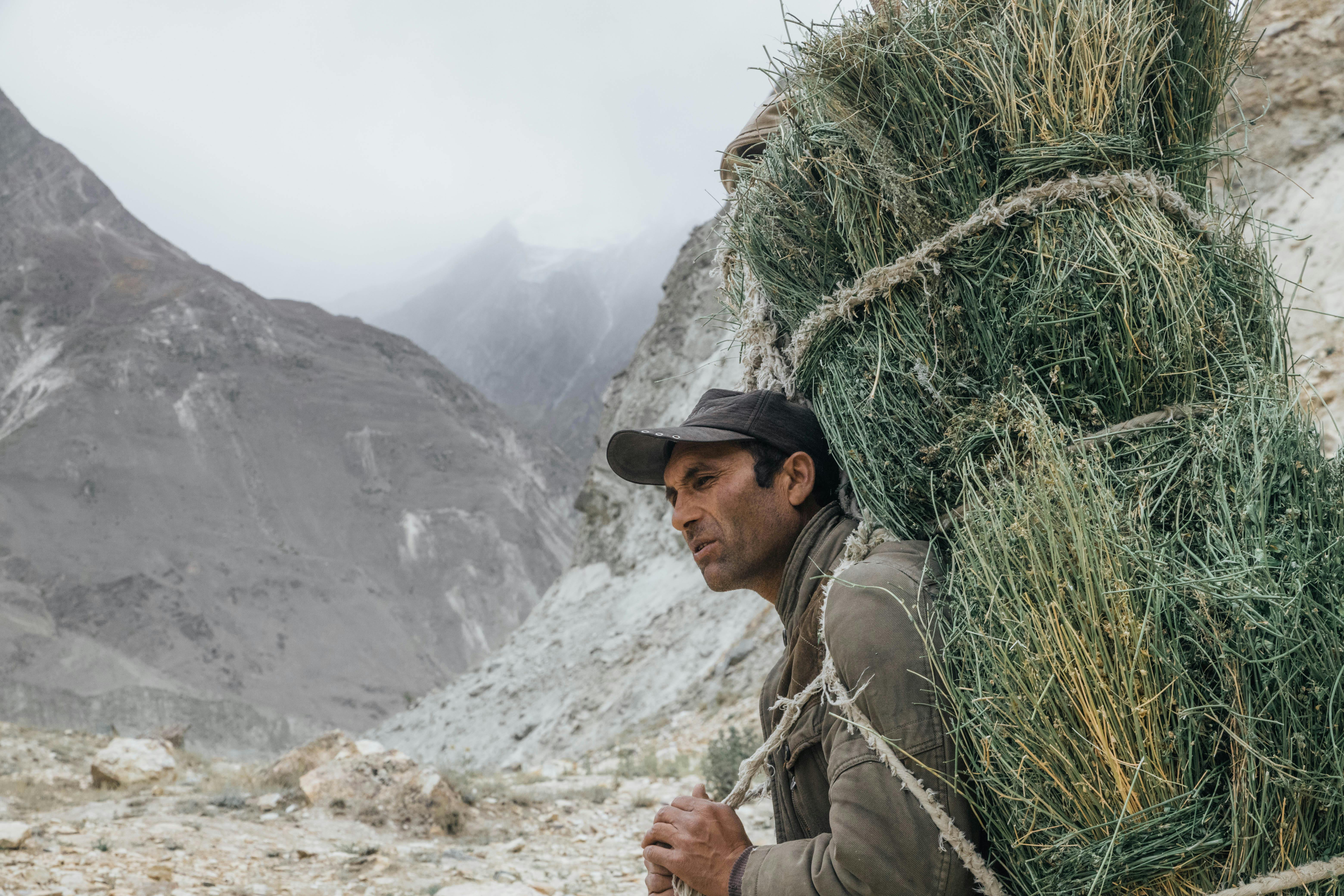 국민연금 이미지