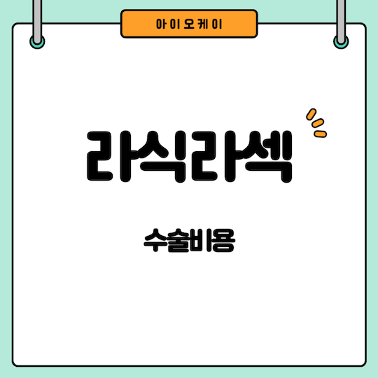 라식라섹-수술비용