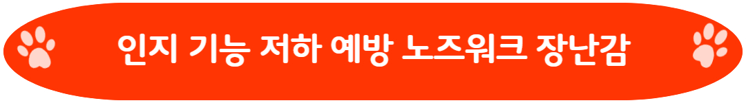 인지 기능 저하 예방 노즈워크 장난감
