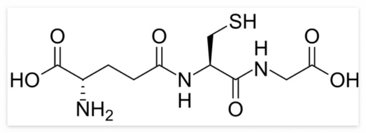 글루타치온 효능