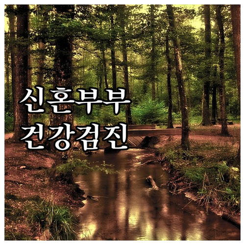 2025 진주시 신혼부부 건강검진비 ..