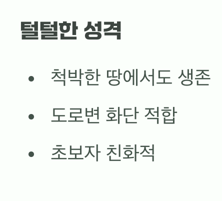 튼튼한 성장의 비결&amp;#44; 흙