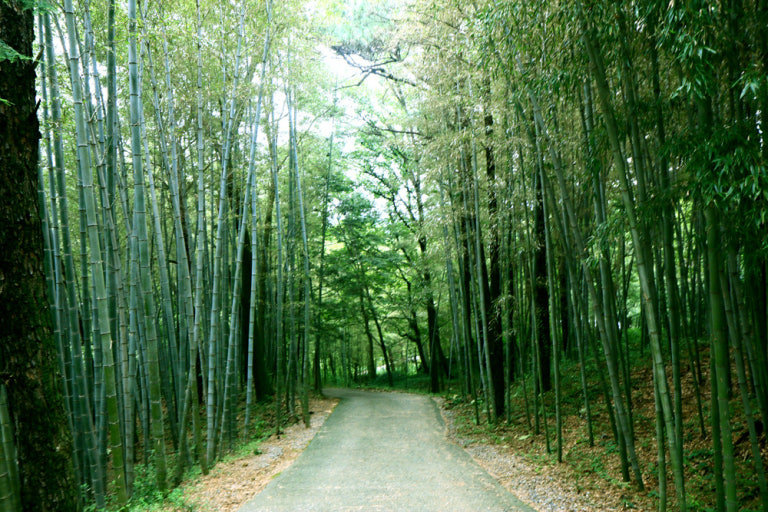 담양 여행지 &amp; 맛집 추천, 감성 가득 담양 1박 2일 힐링 코스 관련 사진