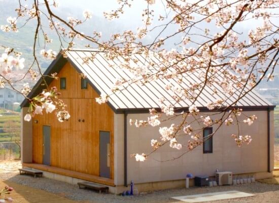 두 번째 벚꽃 펜션