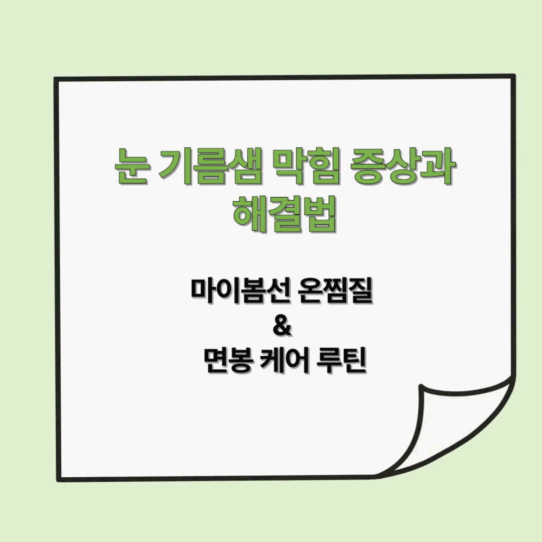 눈 기름샘 막힘 증상과 해결법 – 마이봄선 온찜질 & 면봉 케어 루틴