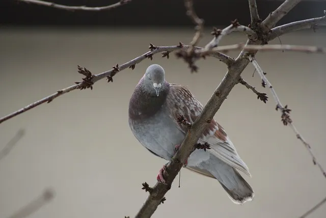 사투리로 고백하면 더 설레는 이유 말투에 담긴 진심과 감성_6