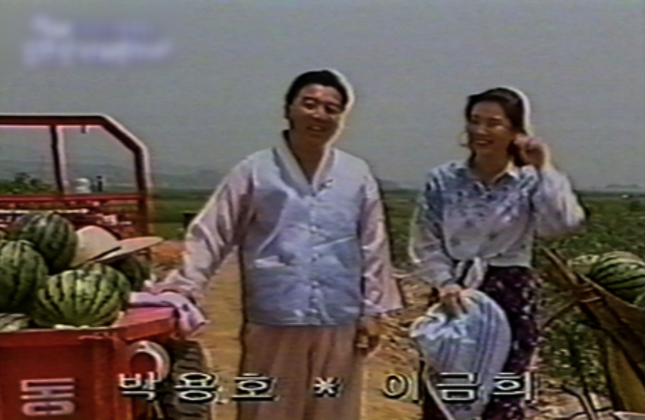 박용호 아나운서 방송 활동