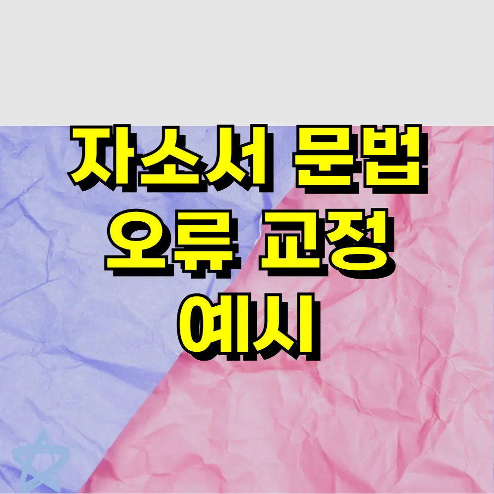 자소서 문법 오류 교정 예시