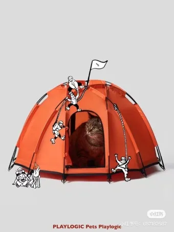 서울 마포 반려동물 캠핑장 도심 속 힐링 명소 가이드_8