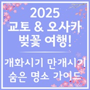 교토 &amp; 오사카 벚꽃 여행 가이드
