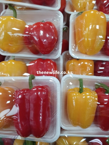 지용성 영양소 효능을 높이기 위해 기름과 함께 조리해야 하는 파프리카