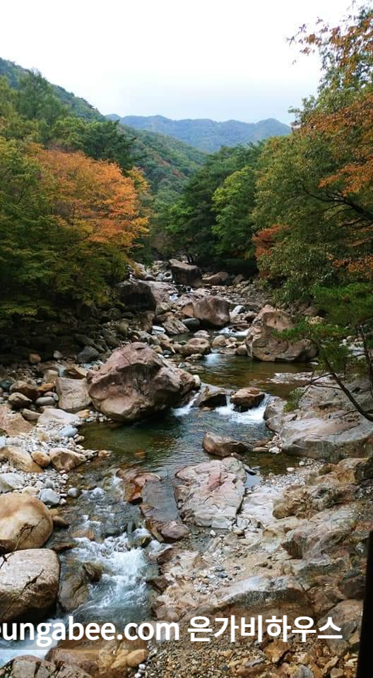 산청 대원사 계곡