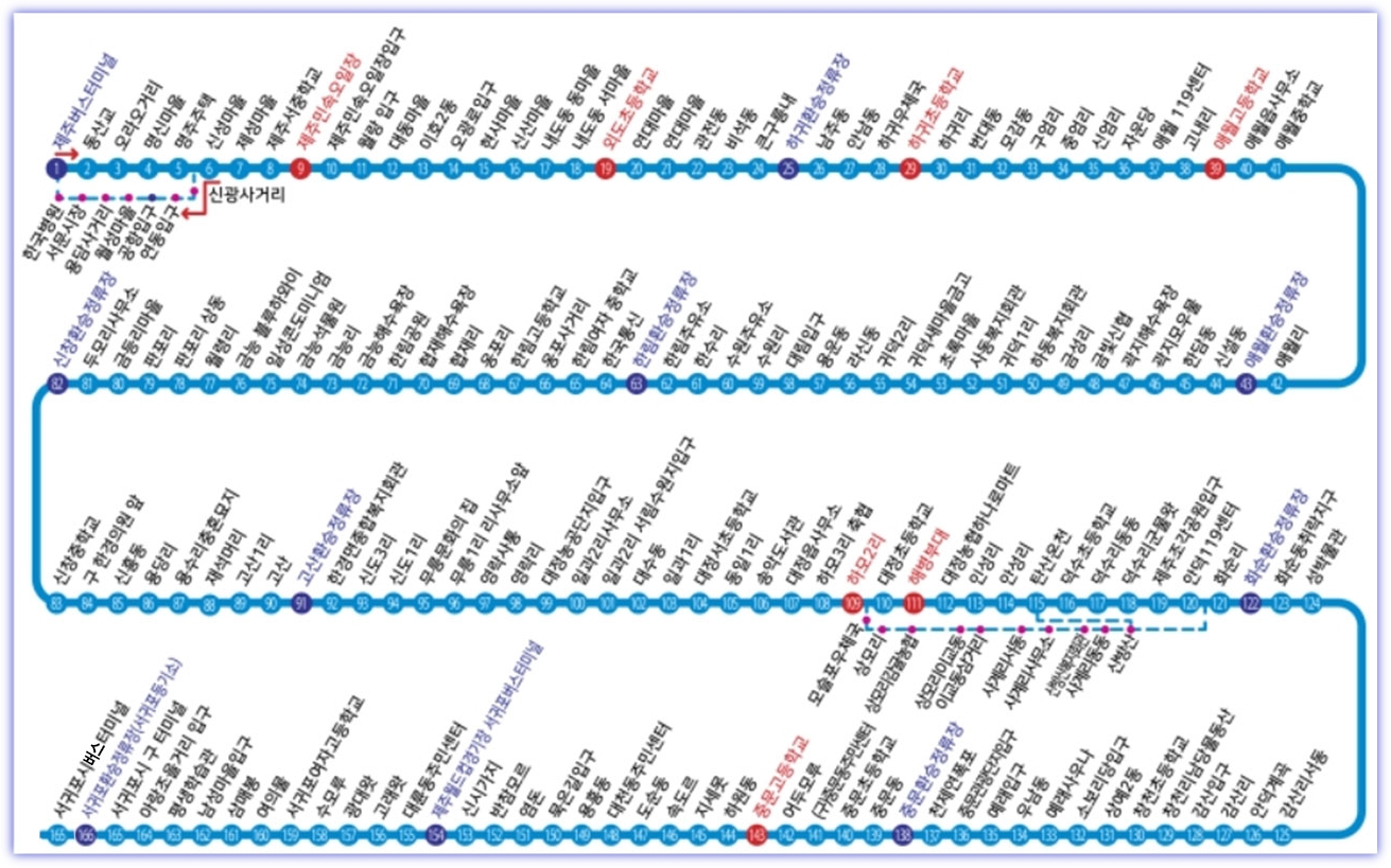 제주 202번 버스 전체 노선도