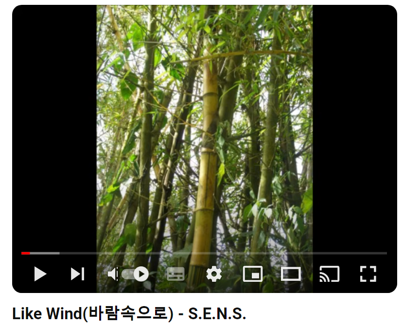 S-E-N-S.-Like-Wind