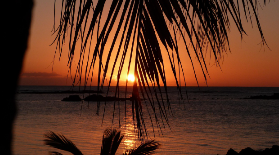 모리셔스 관련 이미지