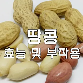 땅콩 효능 칼로리 권장섭취량_4
