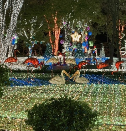 365일 빛축제 가을에 꼭 가봐야할 빛축제 BEST 5