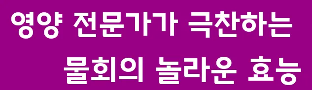 영양 전문가가 극찬하는 물회의 놀라운 효능