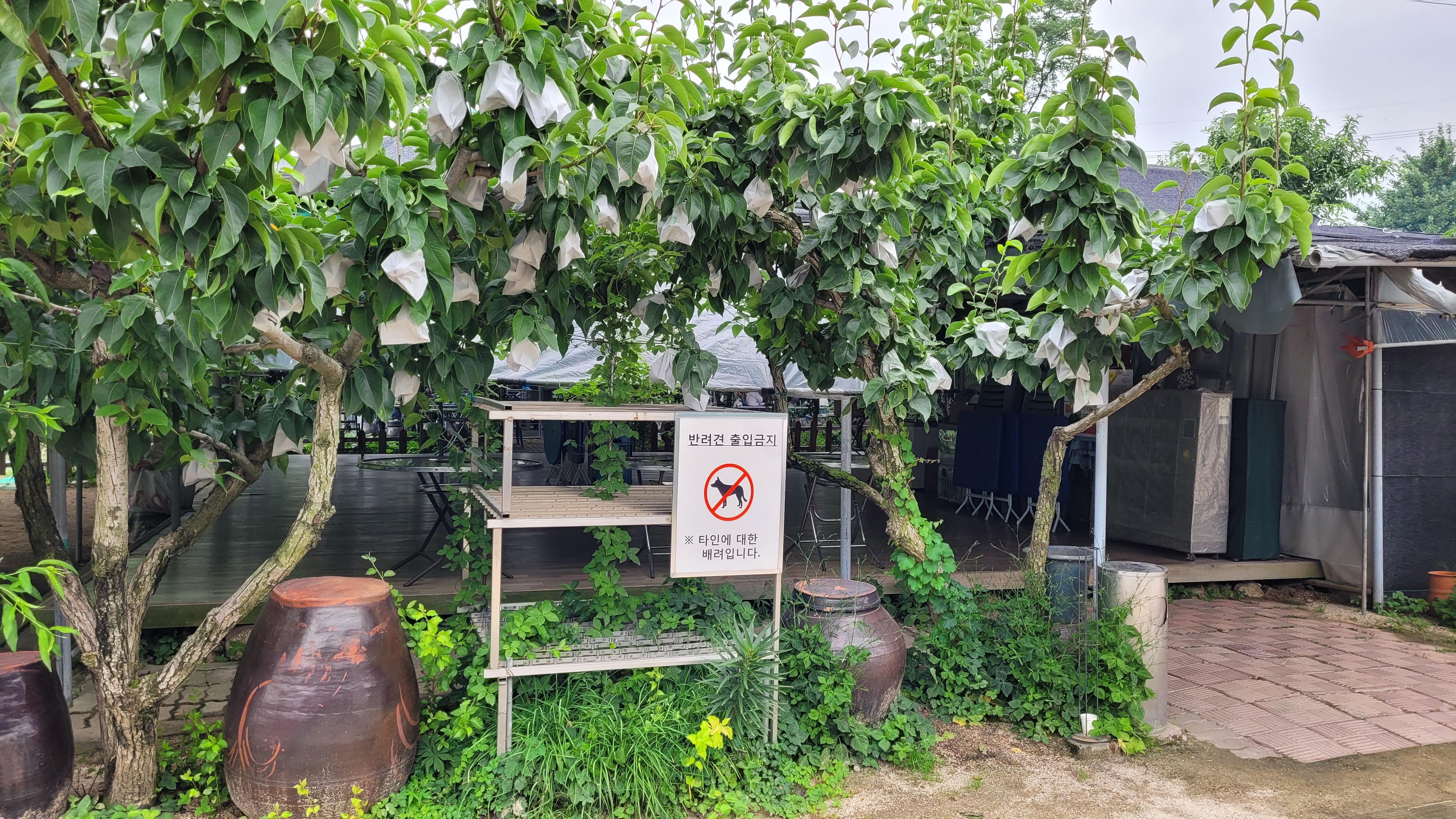 반려견 금지