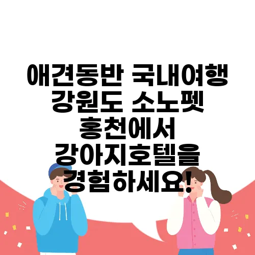 애견동반 국내여행 강원도 소노펫 홍천에서 강아지호텔을 경험하세요!