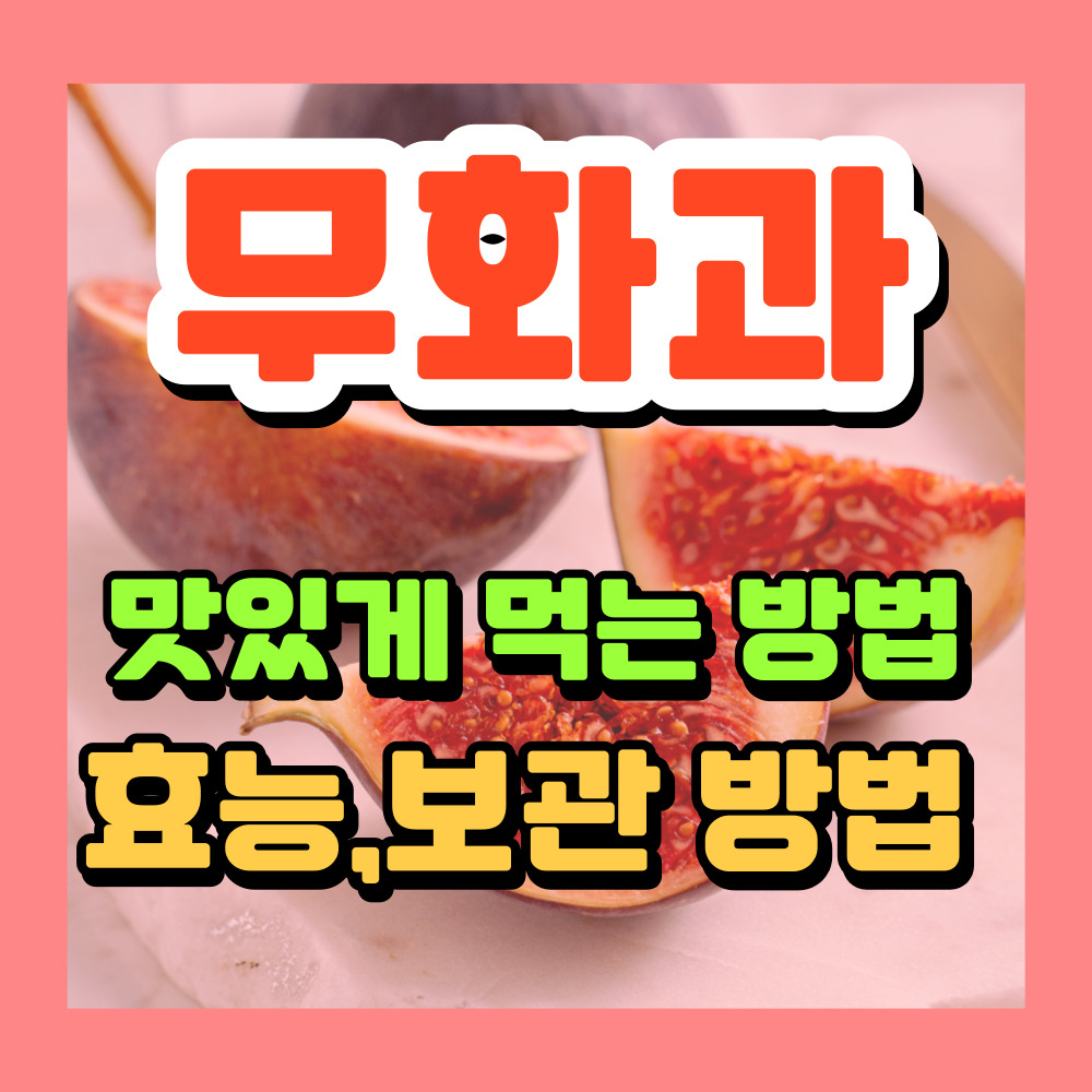무화과효능보관방법