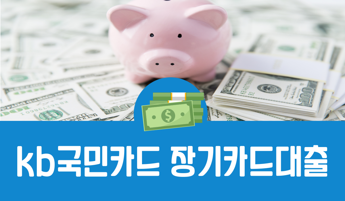 KB국민카드 장기카드대출