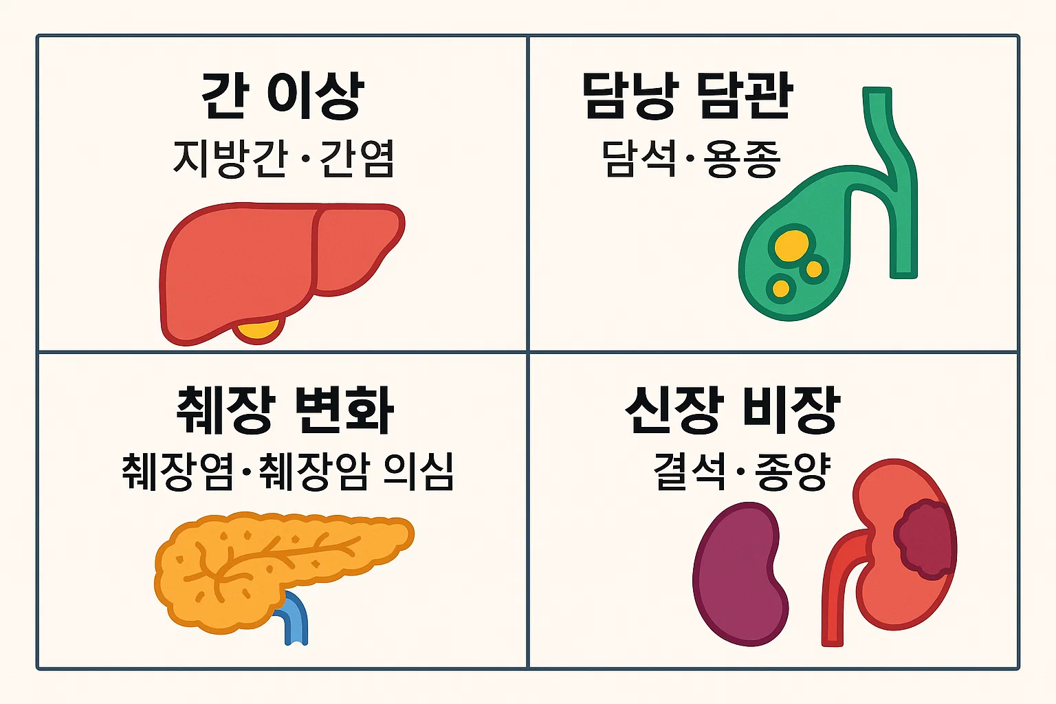 복부 초음파로 알 수 있는 것 중 간 지방간과 염증, 담낭&middot;담관 담석과 용종, 췌장염 및 췌장암 의심 변화, 신장 결석&middot;종양을 시각적으로 정리한 인포그래픽 이미지
