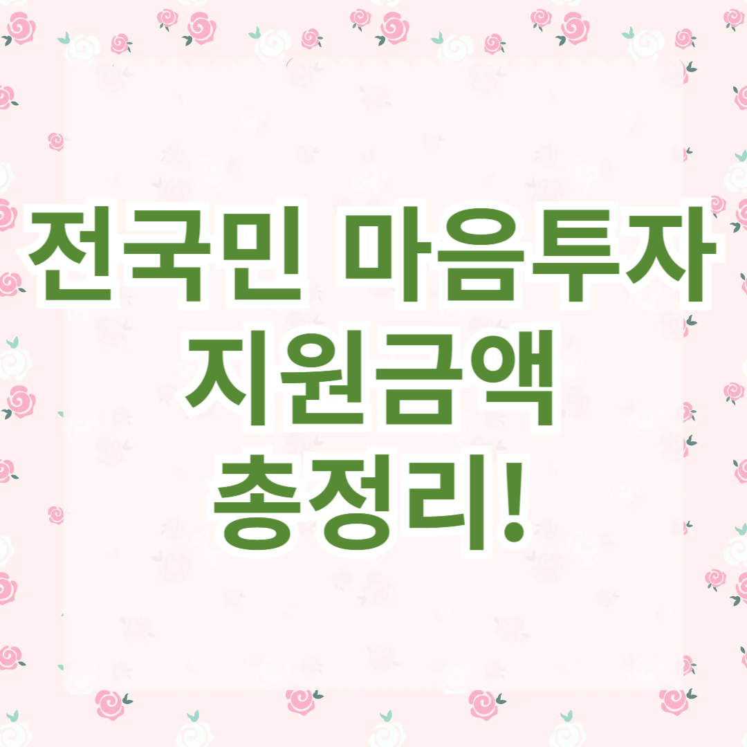 전국민 마음투자 지원금액 총정리