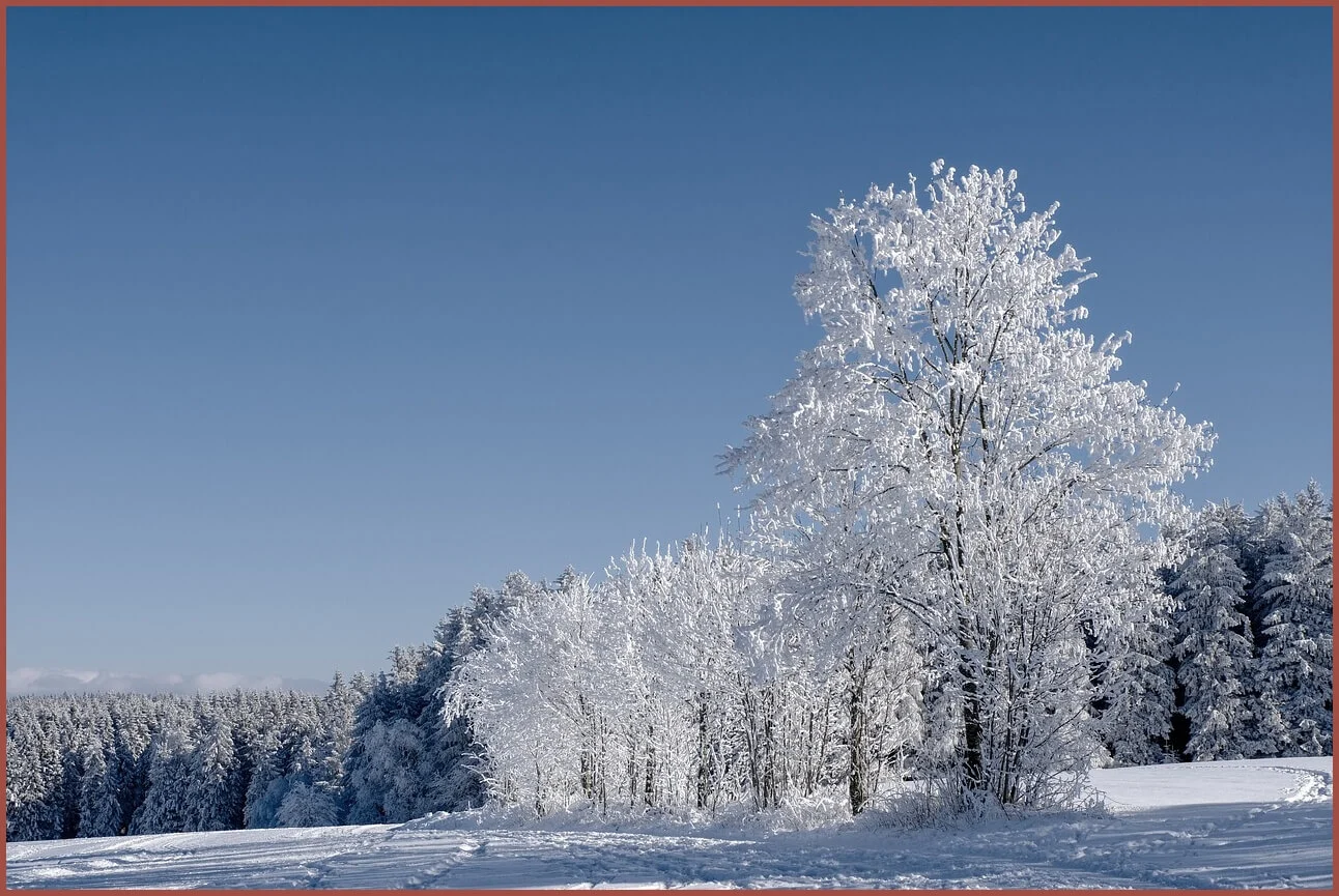 정기예금 이율높은곳