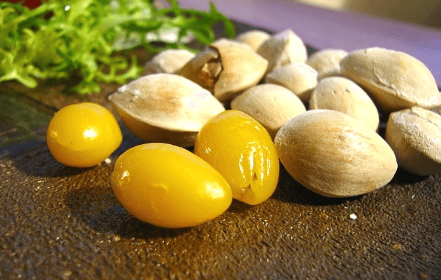 은행 효능 부작용 정리