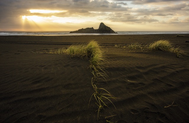 이수도 배시간표 배 예약 (2025)