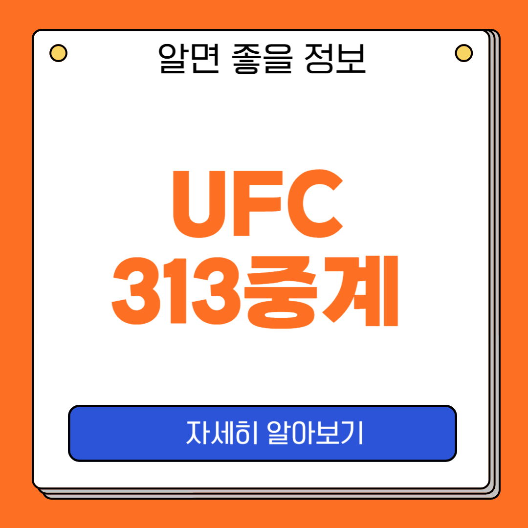 UFC313